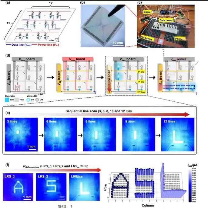 圖片.jpg 圖片.jpg